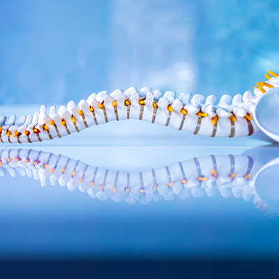 Innovative Techniques in Chiropractic Care