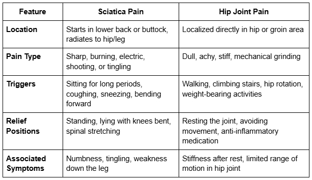 Sciatica vs. Hip Joint Pain – How to Tell the Difference