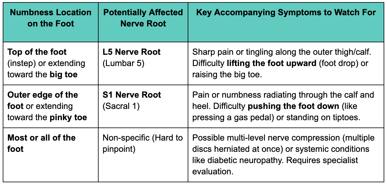 Where does sciatica cause numbness in the foot?